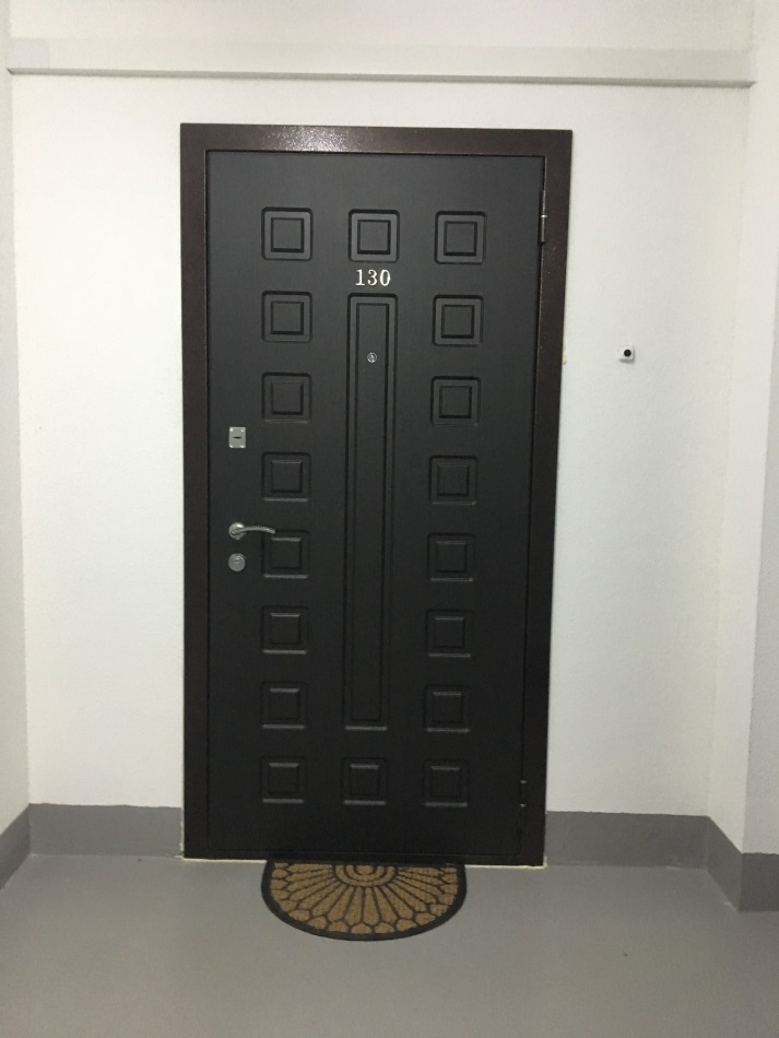 фото входная металлическая дверь